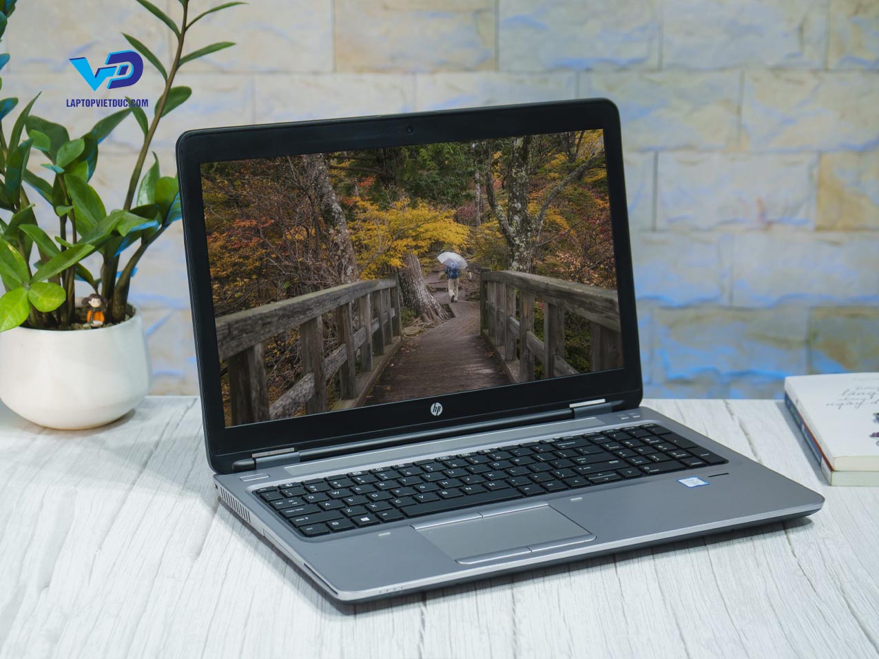 hpprobook650g2